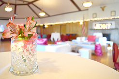 MI16 - THE MERCER ISLAND SWEET SIXTEEN